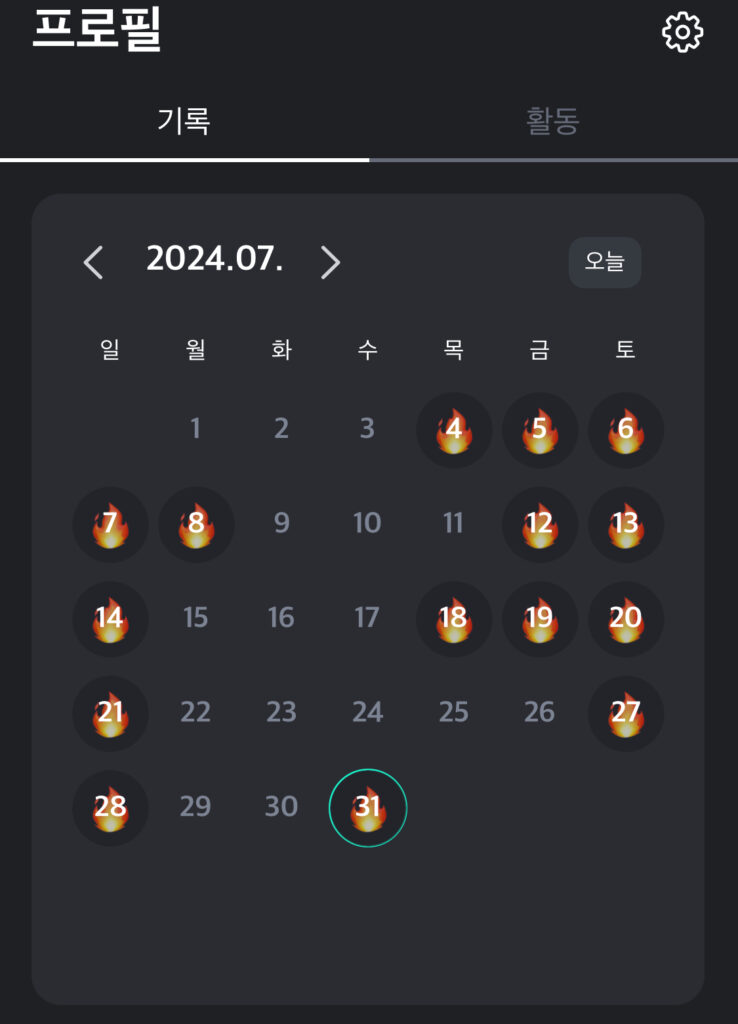 글쓴이가 2024년도에 실제로 행한 운동기록