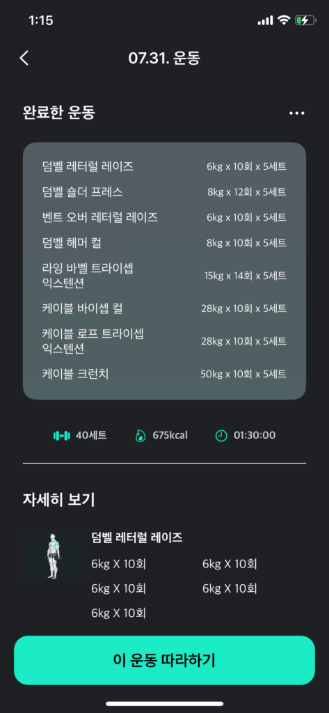 글쓴이가 2024년도에 실제로 행한 운동 세트 기록